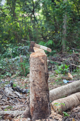 axe on stump