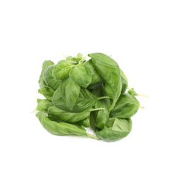 Pile of basil leaves isolated