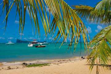 Fototapeta na wymiar amazing white beaches of Mauritius island. Tropical vacation