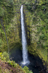 'Akaka Falls State Park Waterfall