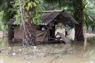 Homes destroyed by floods