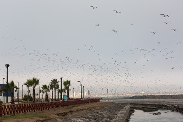 La Punta, Callao