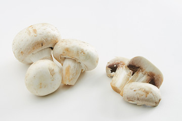 CHAMPIGÑONES BLANCOS LIMPIOS PARA PACK