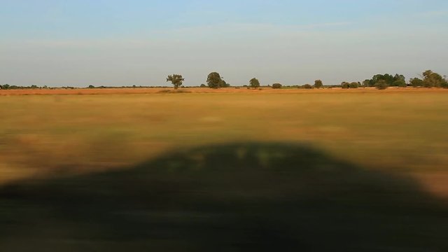 Traveling de seguimiento de la Sombra de un Coche en Paisaje de Verano
