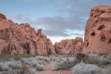 Early Morning, Valley of Fire Nevada