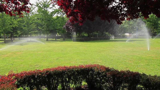 Riego por aspersion en un parque publico con hierba verde setos y arboles de distintas  especies
