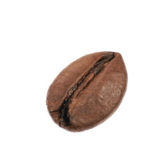Obraz premium Single coffee bean isolated