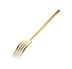 Metal dinner fork isolated