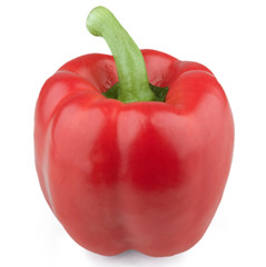 isolated pepper