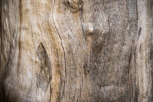 El resumen envejeci&oacute; la madera textura en  el fondo con grietas