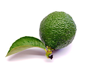 Green lemon