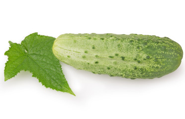 raw cucumber