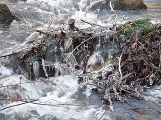 Eiszauber am Wasser