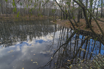 Pond at the end of October.