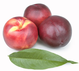ripe peach with a leaf on a white background