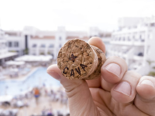 A cork of a bottle of cava, with a pool in the background. What's better than opening a nice bottle of cava and enjoying a warm day at the pool?