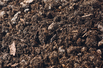 Fertile soil texture background seen from above, top view. Gardening or planting concept.