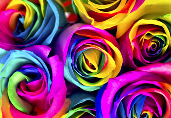 Fototapeta na wymiar Rainbow roses on white bricks and wood background. Postcard for Valentine's and Mother's day
