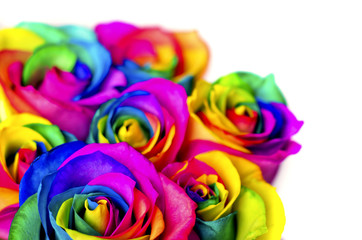 Fototapeta na wymiar Rainbow roses on white bricks and wood background. Postcard for Valentine's and Mother's day