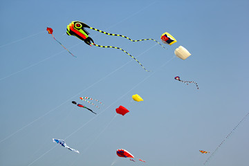 Varied shapes and designs of kites soaring during the Goa International Kite Festival in Miramar Beach in Goa, India
