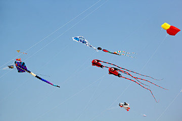 Varied shapes and designs of kites flying during the Goa International Kite Festival in Miramar Beach in Goa, India