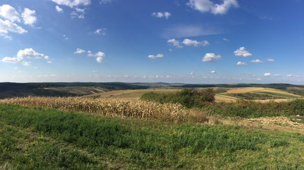 Farmland panorama