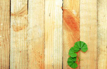 Wooden boards with leaves