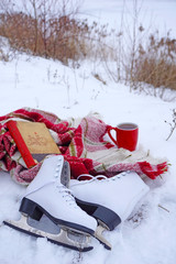 Winter vacation: tea, ice skates with a red blanket in the cage in the snow