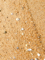 Natural sandy surface ocean sea beach backdrop top view background