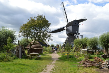 Kinderdijk