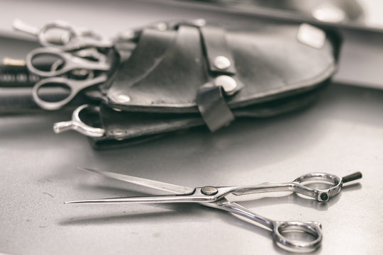 pro scissors in black leather case