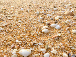 Natural sandy surface ocean sea beach backdrop top view background