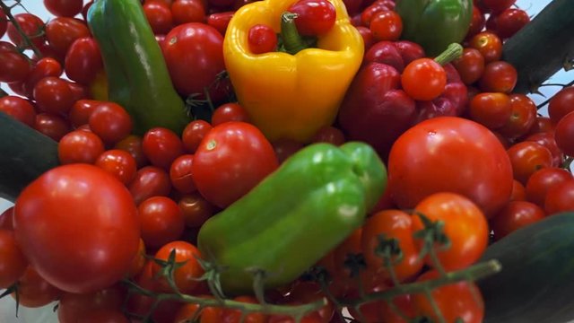 Harvest ripe tasty red, green and yellow bell peppers mixed with tomatoes on a shop window. Shot in motion