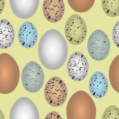 Seamless pattern bird eggs, vector