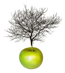 vector illustration of a tree growing out of apple fruit