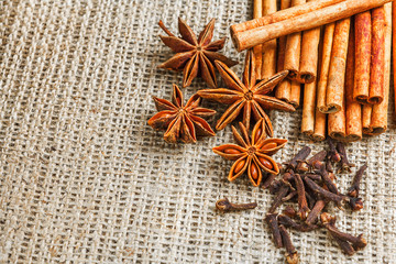 Spices and herbs. Food and cuisine ingredients. Cinnamon sticks,