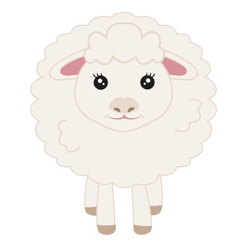 Cute cartoon sheep