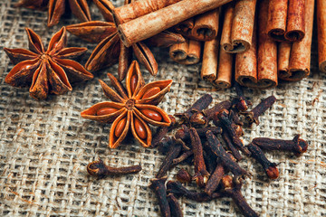 Spices and herbs. Food and cuisine ingredients. Cinnamon sticks,