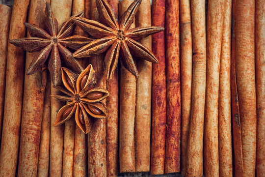 Spices and herbs. Food and cuisine ingredients. Cinnamon sticks,