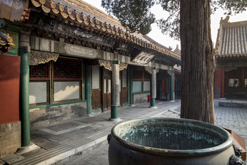 Palace of gathered Elegance