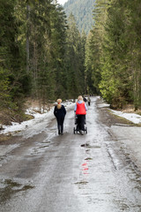 Obraz premium Tourists walking on hiking path in Chocholowska valley in spring season, Tatra Mountains, Poland