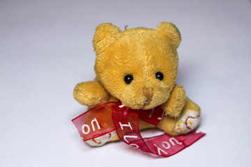 Teddy Bear holding