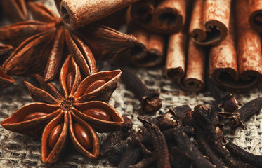 Spices and herbs. Food and cuisine ingredients. Cinnamon sticks,