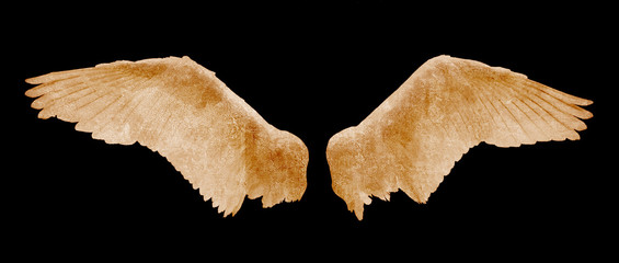 Angel wings with grunge texture on black background