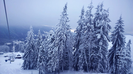 Winter and snow in the forest and in the mountains