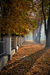 W Szamotułach © Krzysztof