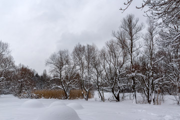 Winter view with snow covered trees in South Park in city of Sofia, Bulgaria