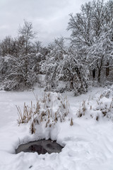Winter view with snow covered trees in South Park in city of Sofia, Bulgaria