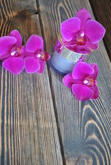 Krem i orchidee