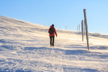 Mountain hiker in bad weather during winter © dziewul